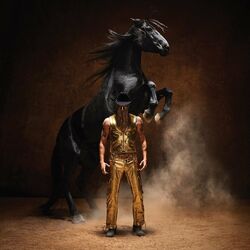 Bronco: Chapter 1 - Orville Peck