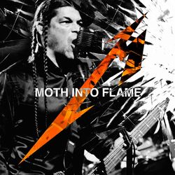 Metallica - Moth Into Flame (Live)