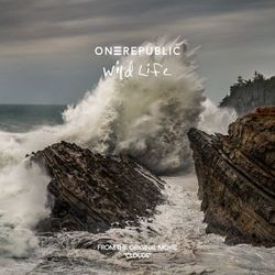 OneRepublic - Wild Life