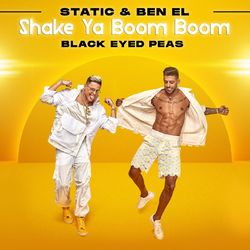 Shake Ya Boom Boom - Static & Ben El Tavori