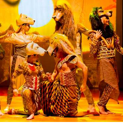 Show e Evento: Rei Leão - O Musical